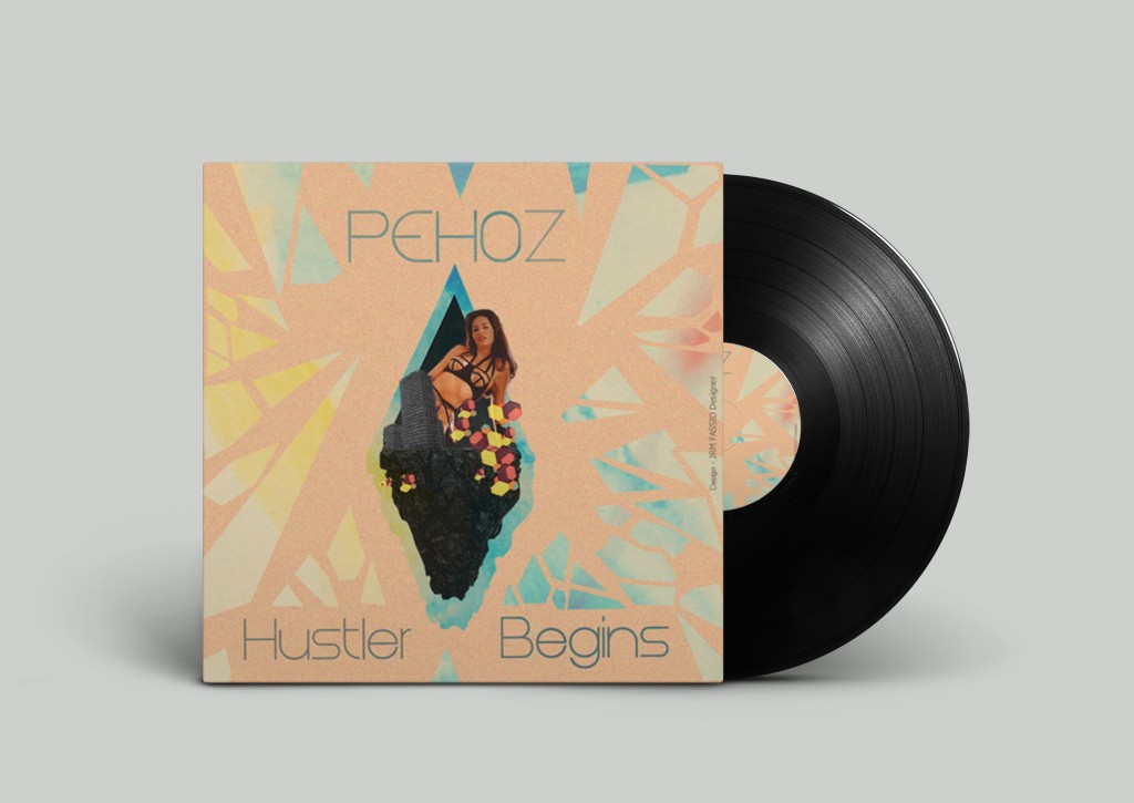 Vinyl-pehoz-2